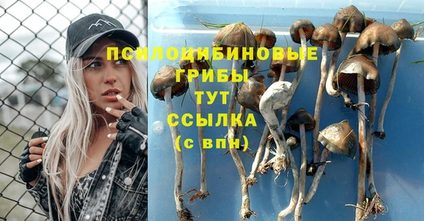 MESCALINE Баксан