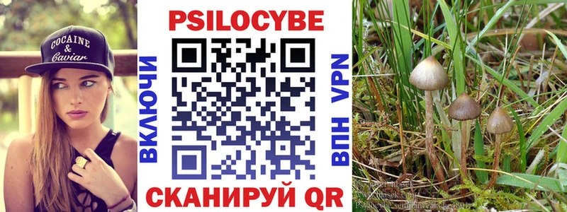 даркнет сайт  Сельцо  Псилоцибиновые грибы ЛСД 